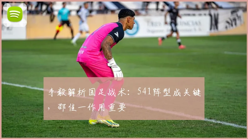 李毅解析国足战术：541阵型成关键，邵佳一作用重要